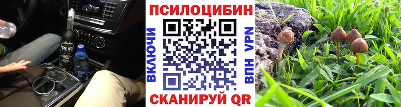 Купить  Ачхой-Мартан  Псилоцибиновые грибы мухоморы 