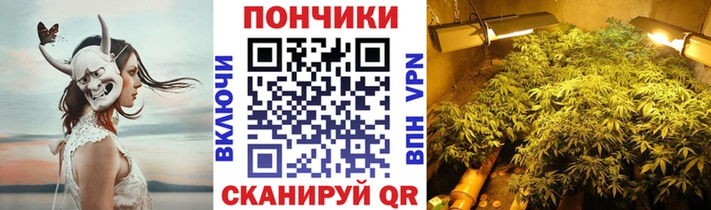Купить  Ачхой-Мартан  Шишки марихуана Bruce Banner 